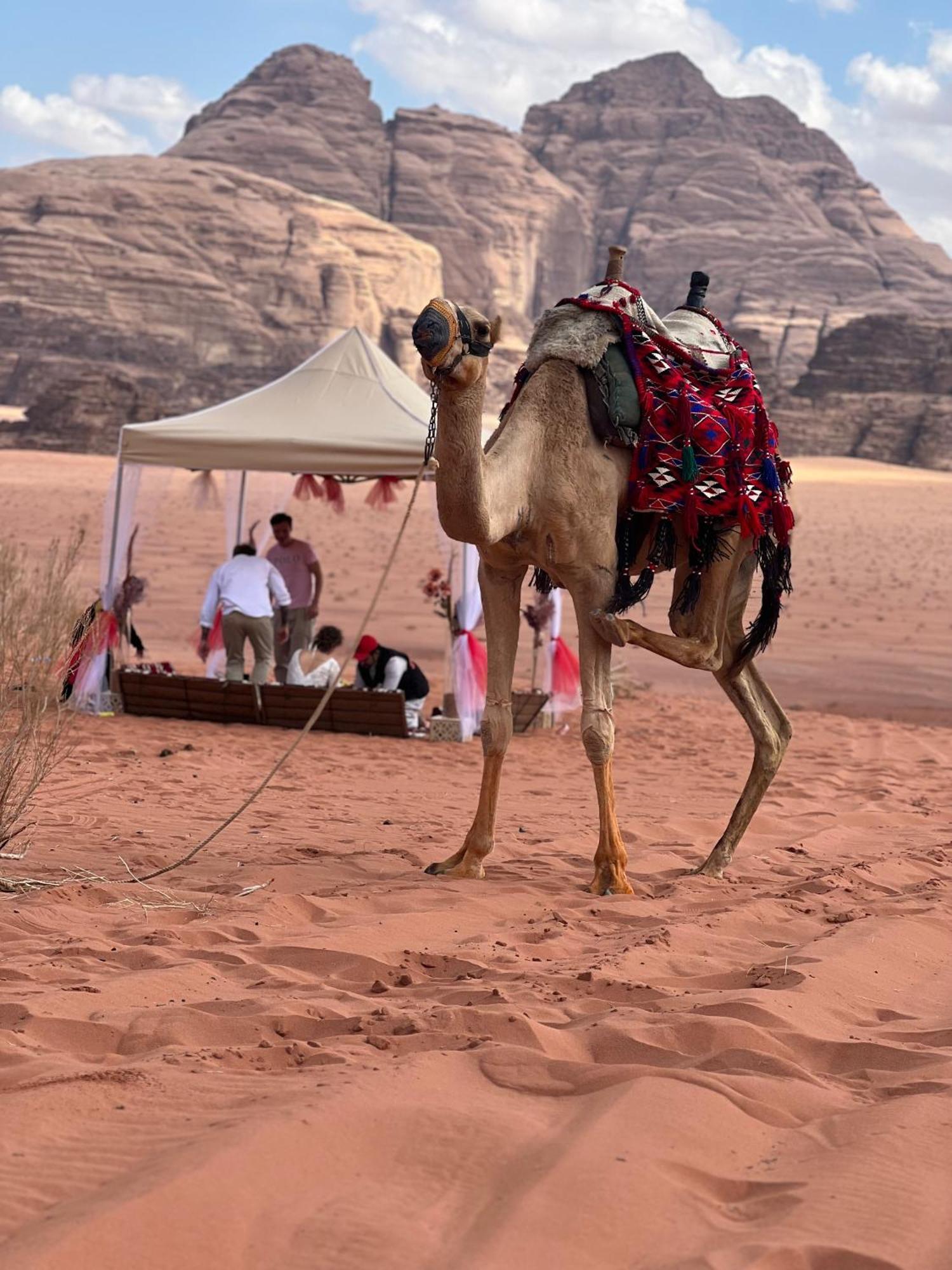 Rum revan camp Wadi Rum Eksteriør billede