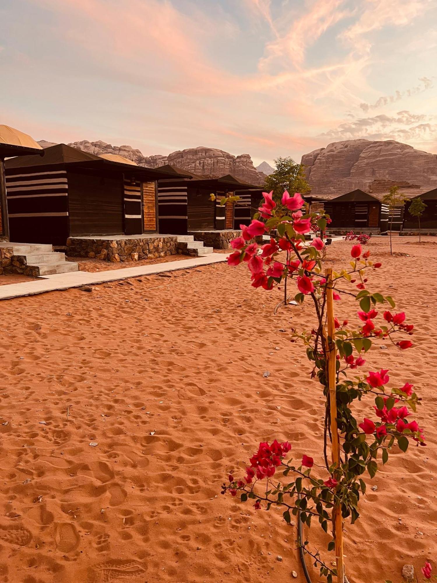Rum revan camp Wadi Rum Eksteriør billede