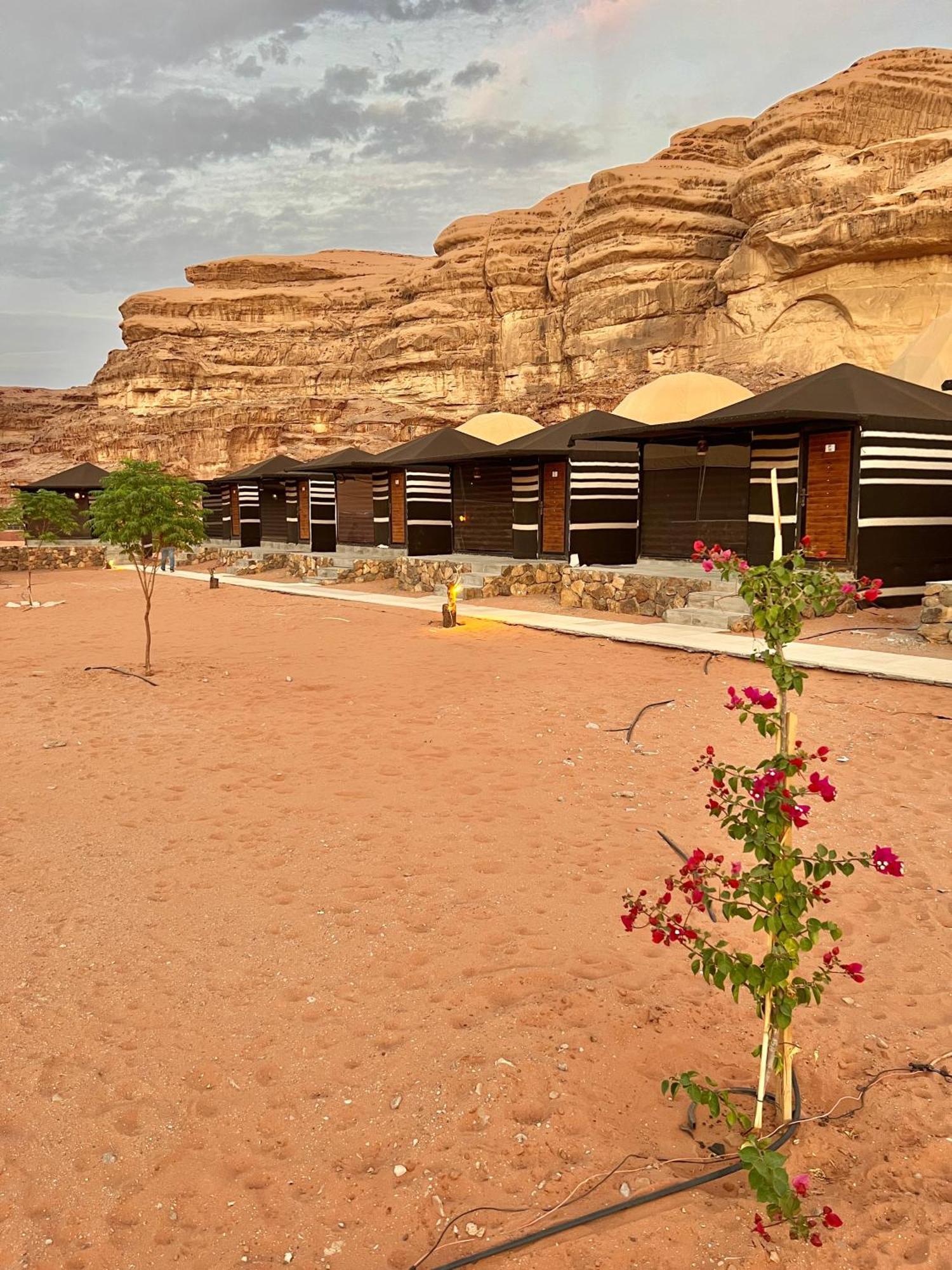 Rum revan camp Wadi Rum Eksteriør billede