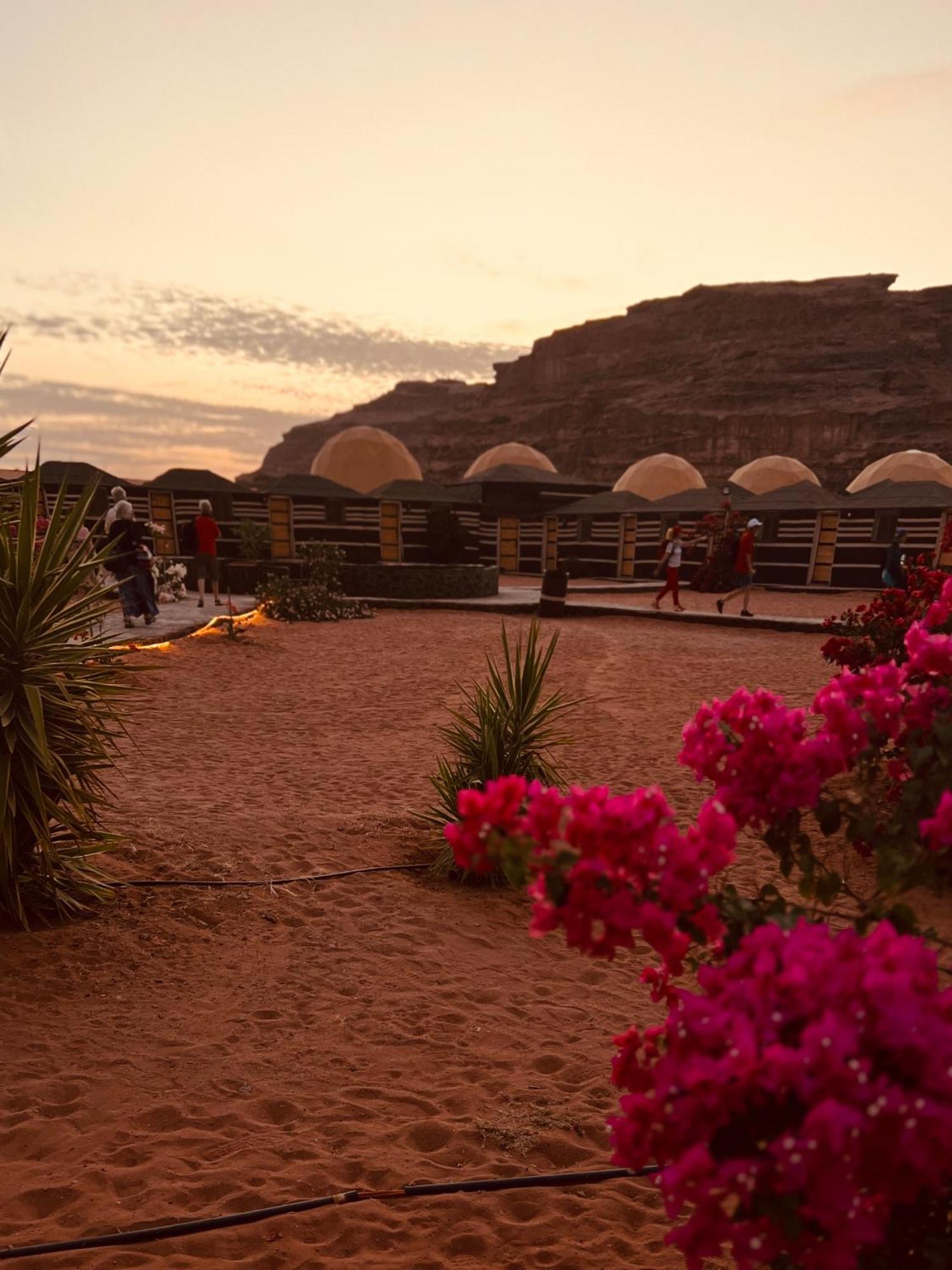 Rum revan camp Wadi Rum Eksteriør billede