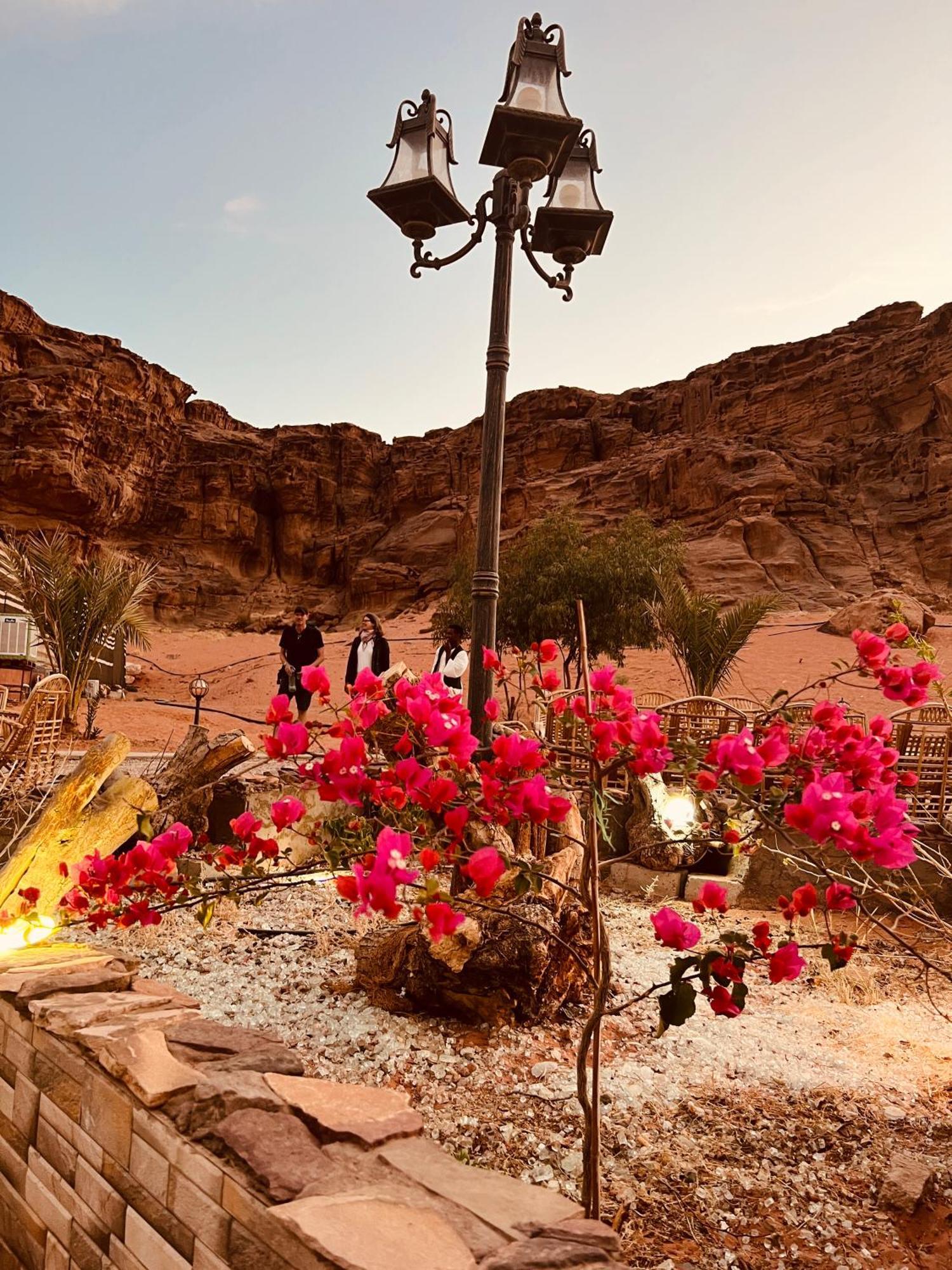 Rum revan camp Wadi Rum Eksteriør billede